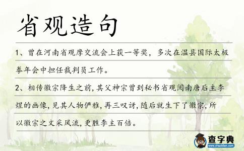 省觀造句