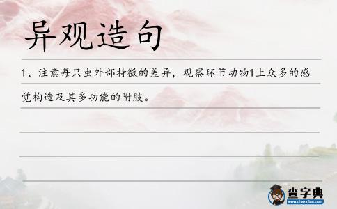 異觀造句