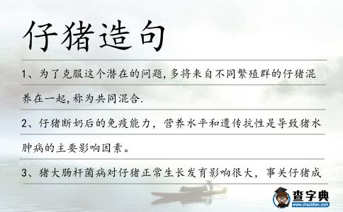 仔豬造句