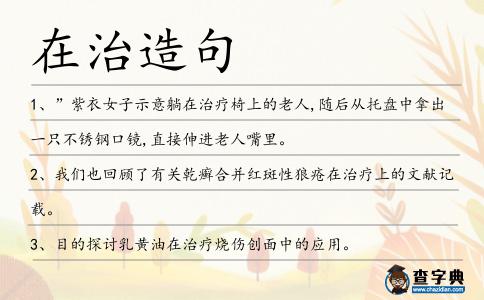 在治造句