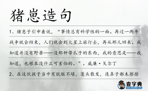 豬崽造句