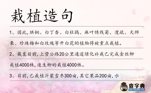 栽植造句