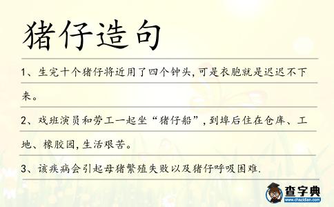 豬仔造句