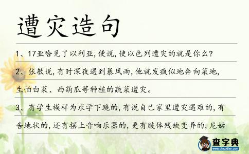 遭災(zāi)造句