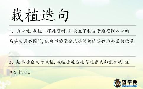 栽植造句