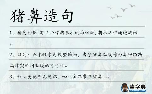 豬鼻造句
