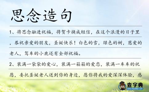 思念造句