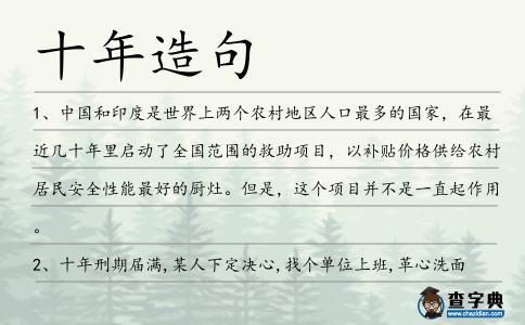 十年造句