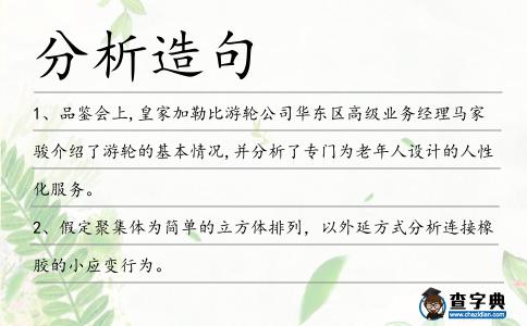 分析造句