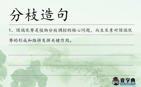 分枝造句