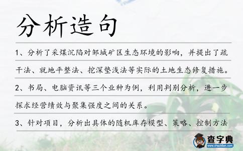 分析造句