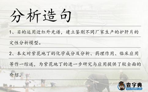 分析造句