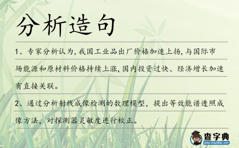 分析造句