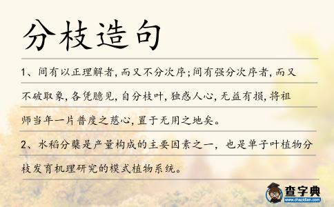 分枝造句