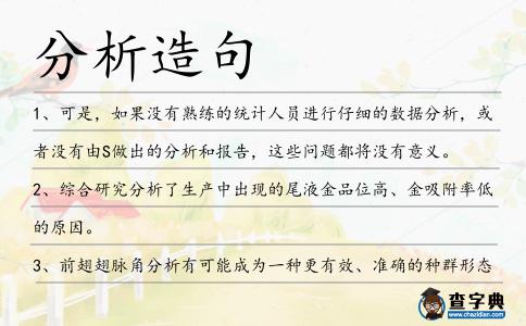 分析造句