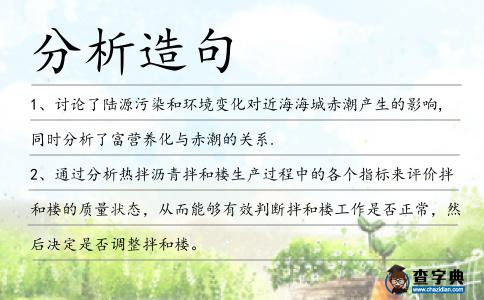分析造句