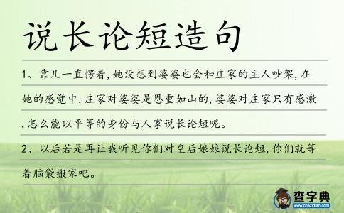 說長論短造句