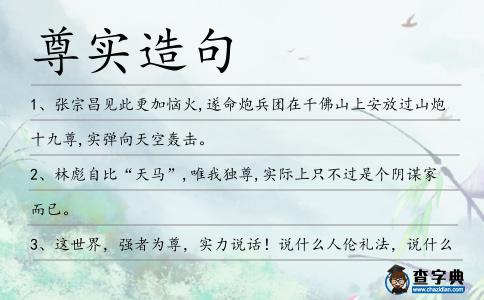 尊實造句