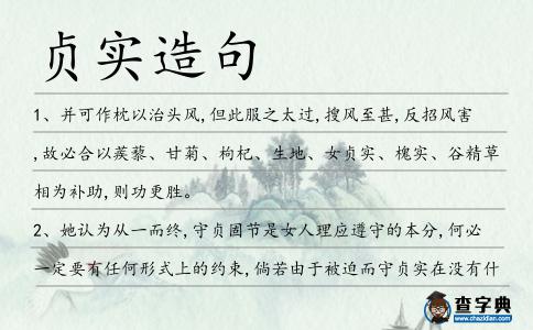 貞實造句