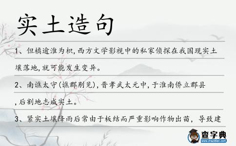 實土造句