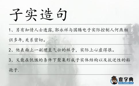 子實造句