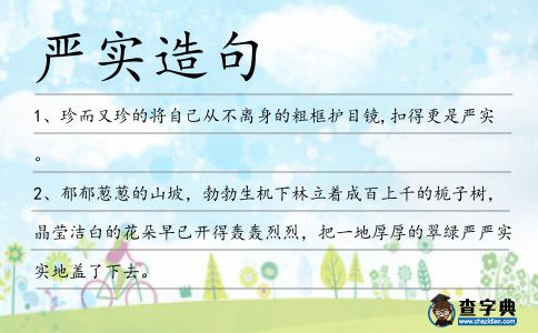 嚴(yán)實(shí)造句