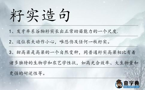 籽實(shí)造句