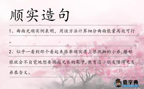 順實(shí)造句