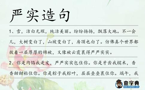 嚴實造句