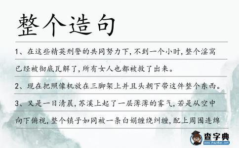 整個造句