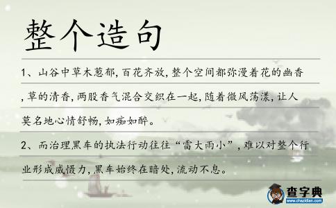 整個(gè)造句