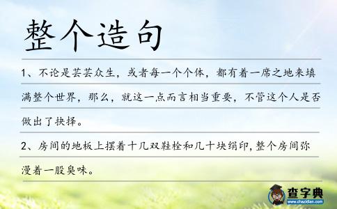 整個(gè)造句