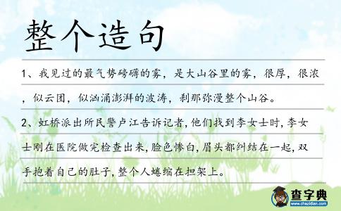 整個造句