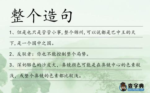 整個造句