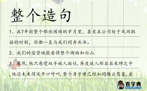 整個造句
