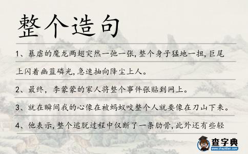 整個造句