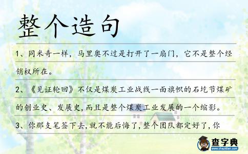 整個造句