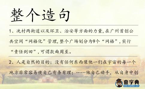 整個造句
