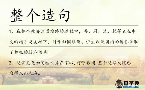 整個造句