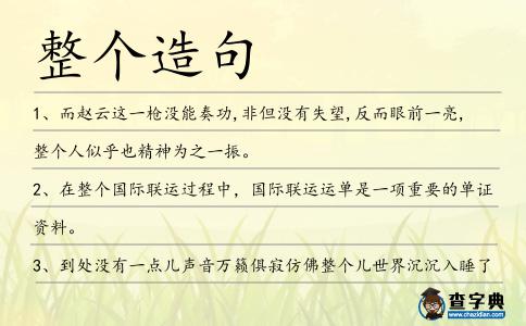 整個(gè)造句
