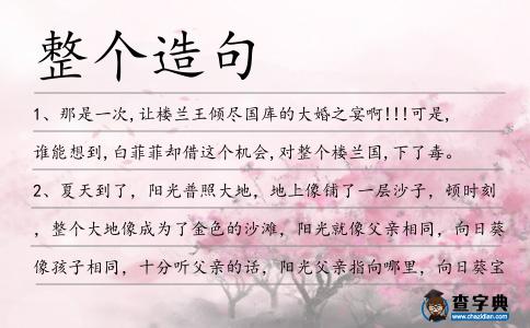 整個造句