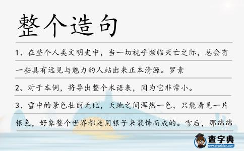 整個造句