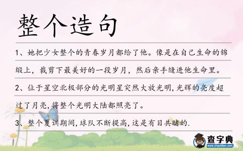 整個造句