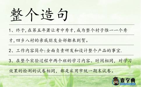 整個造句