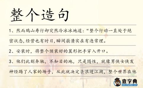 整個(gè)造句