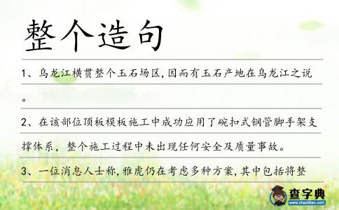 整個造句