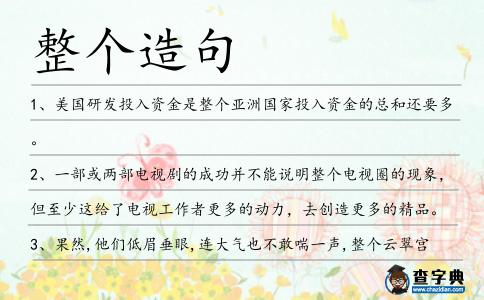 整個造句