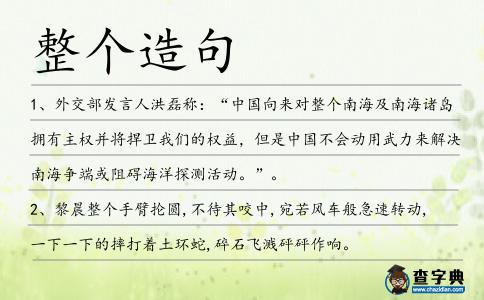 整個造句