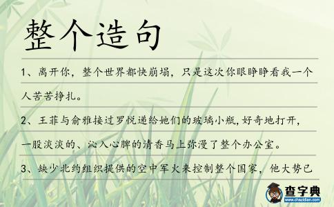 整個造句