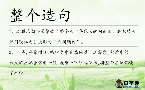 整個造句